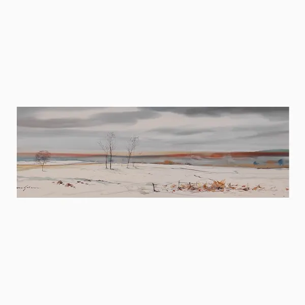 El despertar - Xavier Galiza