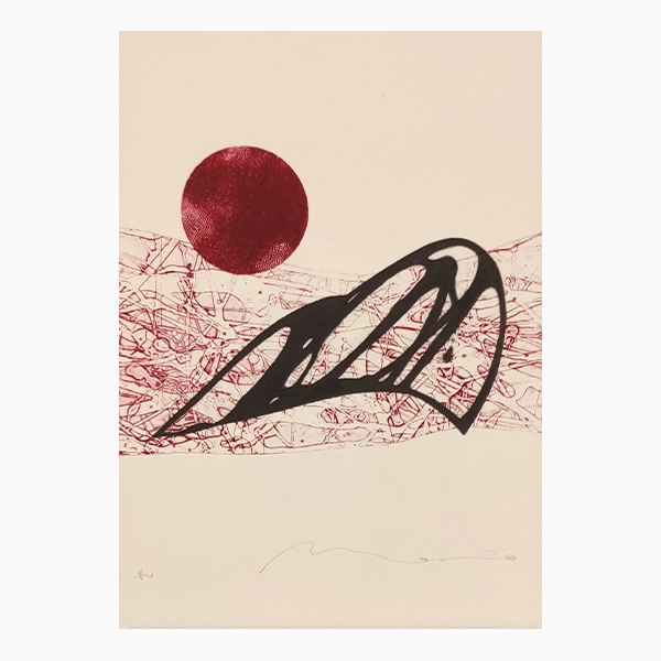 Círculo rojo